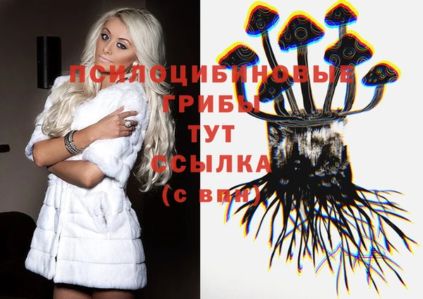 соль ск Бронницы