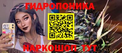 крисы Мариинск