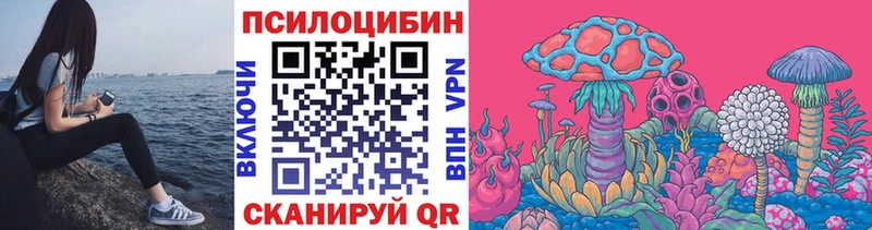 Псилоцибиновые грибы прущие грибы  как найти закладки  Гулькевичи 