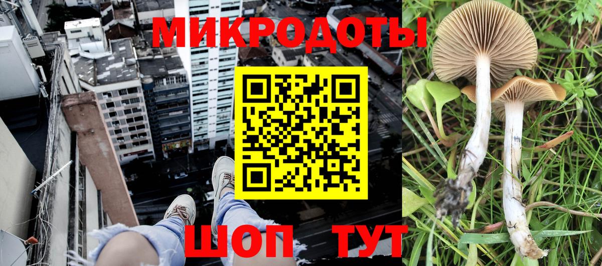 Псилоцибиновые грибы прущие грибы Гулькевичи