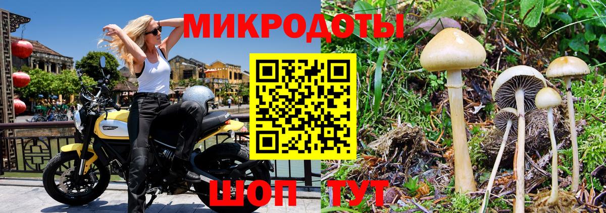 Гулькевичи  Псилоцибиновые грибы Psilocybe  Вход с VPN  Галлюциногенные грибы Magic Shrooms 